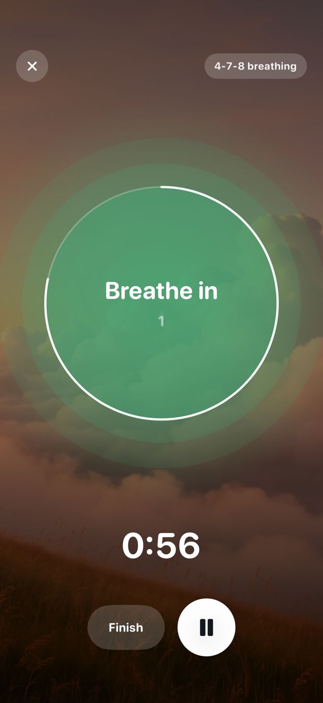 Wellnest breathing session with a large circle reading breathe in and a timer